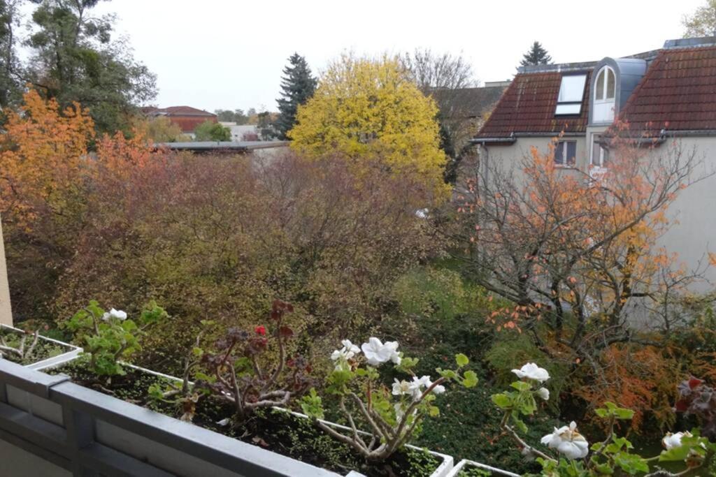 Schoene, Ruhige Wohnung In Berlin-Steglitz Екстериор снимка